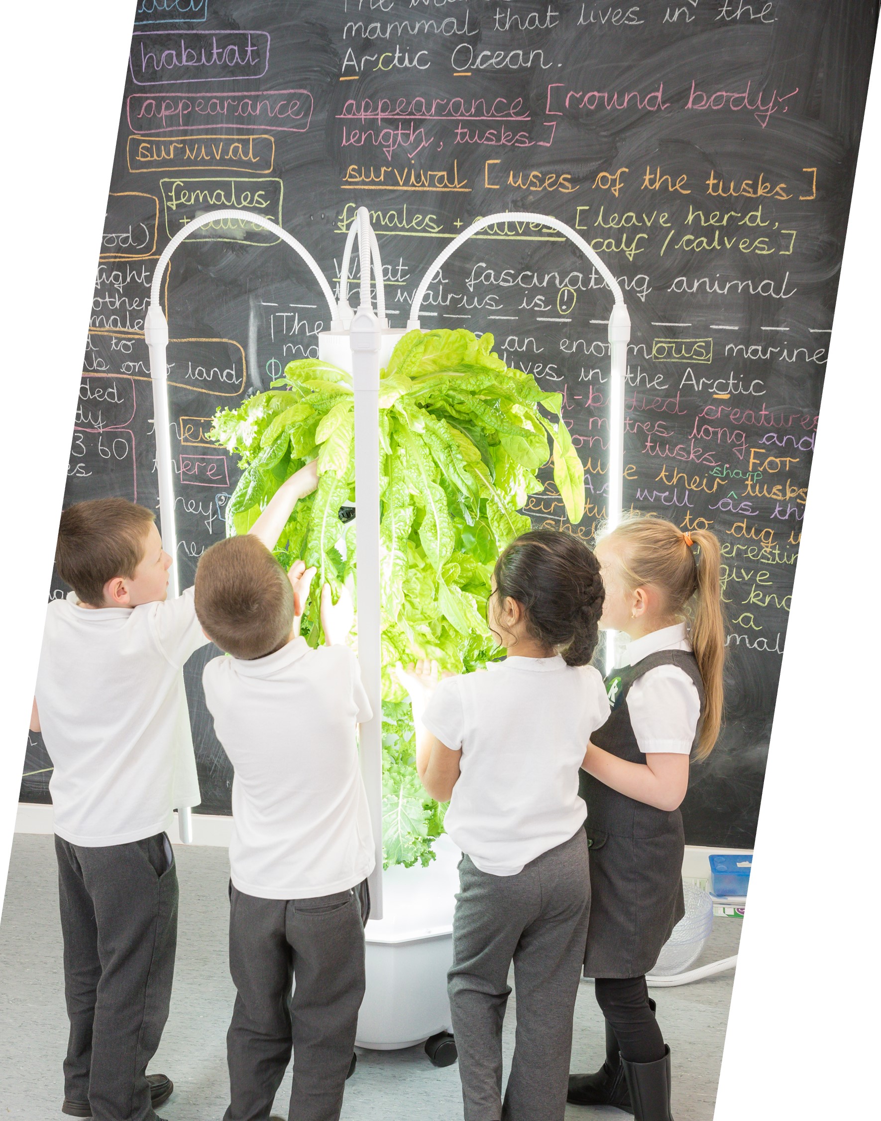 Win a Hydroponic Growing Tower!